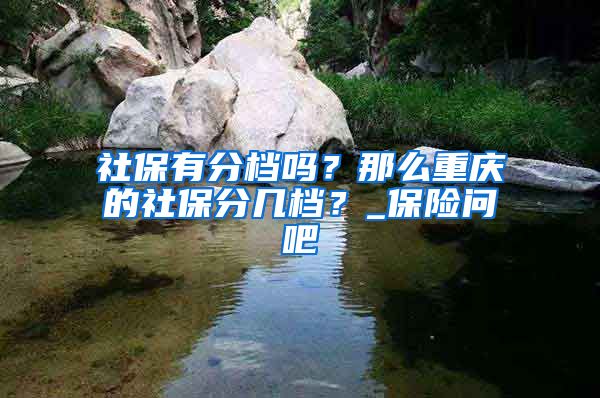 社保有分档吗？那么重庆的社保分几档？_保险问吧