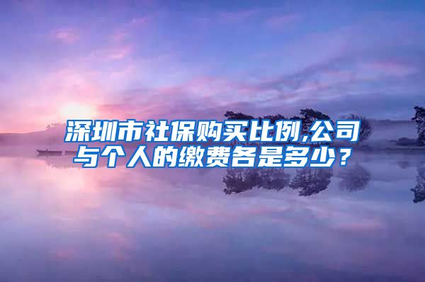 深圳市社保购买比例,公司与个人的缴费各是多少？