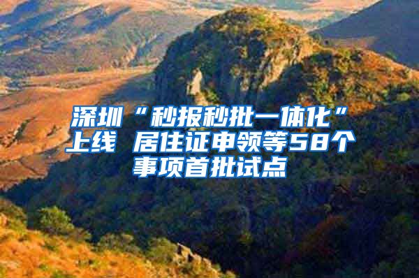 深圳“秒报秒批一体化”上线 居住证申领等58个事项首批试点