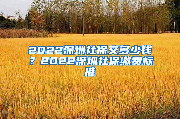 2022深圳社保交多少钱？2022深圳社保缴费标准