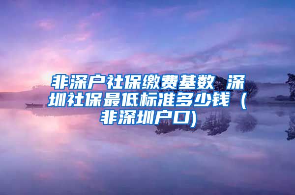 非深户社保缴费基数 深圳社保最低标准多少钱（非深圳户口)