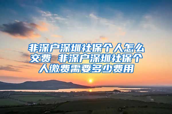 非深户深圳社保个人怎么交费 非深户深圳社保个人缴费需要多少费用