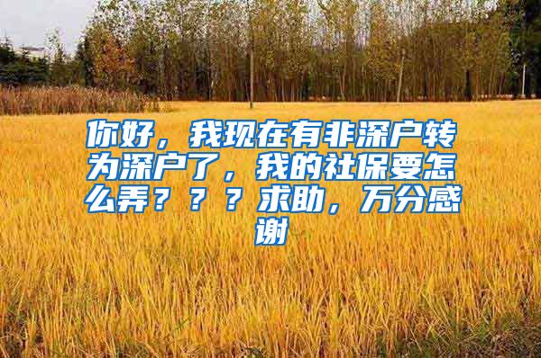 你好，我现在有非深户转为深户了，我的社保要怎么弄？？？求助，万分感谢