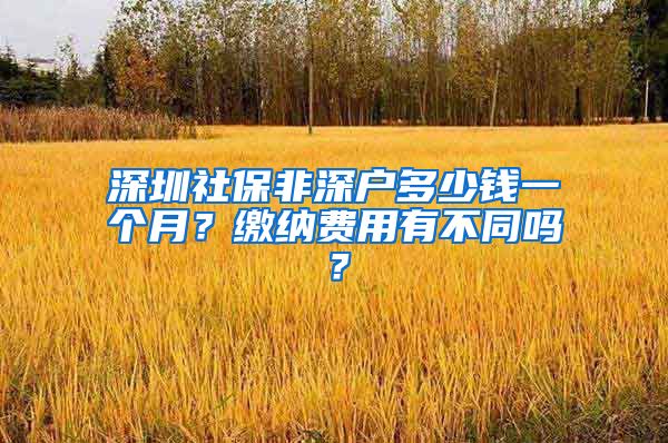 深圳社保非深户多少钱一个月？缴纳费用有不同吗？