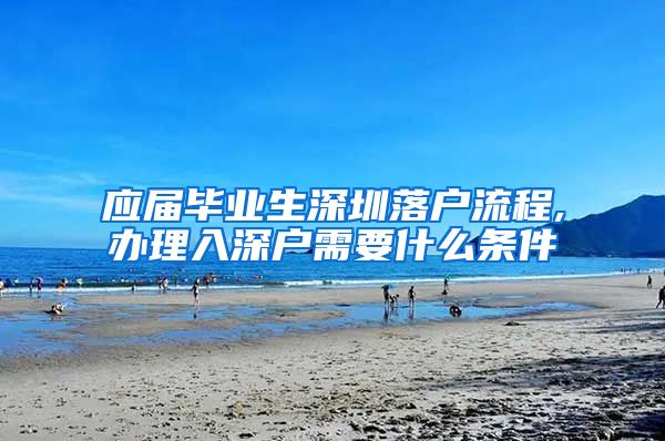 应届毕业生深圳落户流程,办理入深户需要什么条件