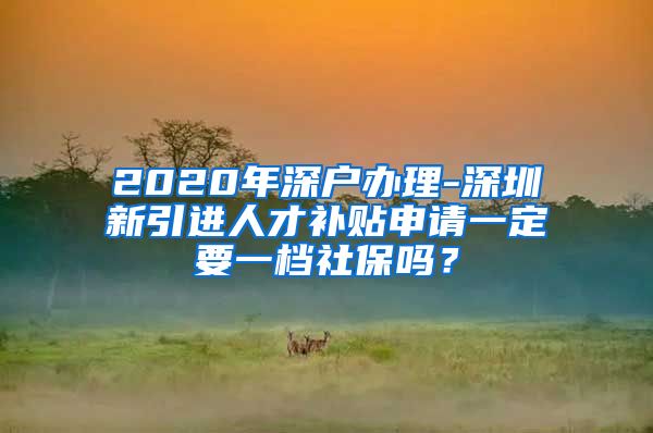 2020年深户办理-深圳新引进人才补贴申请一定要一档社保吗？