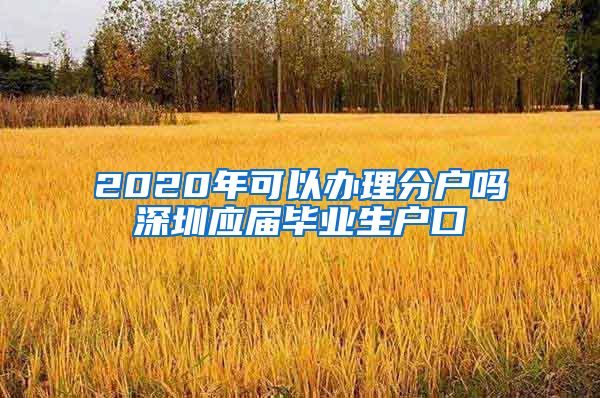 2020年可以办理分户吗深圳应届毕业生户口