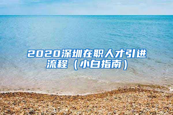 2020深圳在职人才引进流程（小白指南）