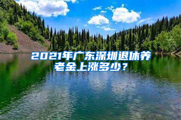 2021年广东深圳退休养老金上涨多少？