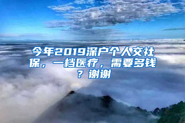 今年2019深户个人交社保，一档医疗，需要多钱？谢谢