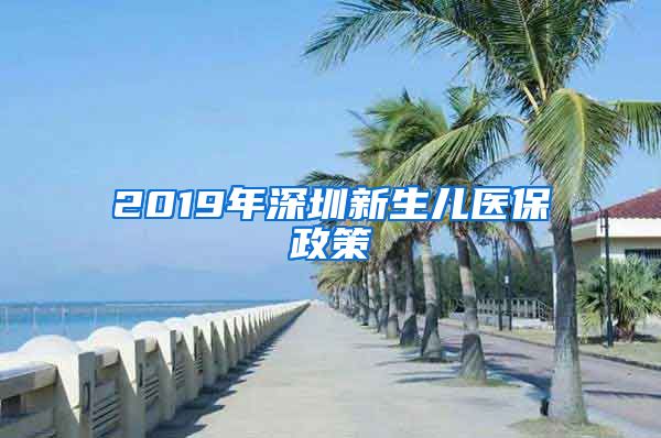 2019年深圳新生儿医保政策