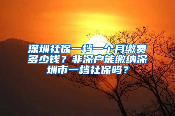 深圳社保一档一个月缴费多少钱？非深户能缴纳深圳市一档社保吗？