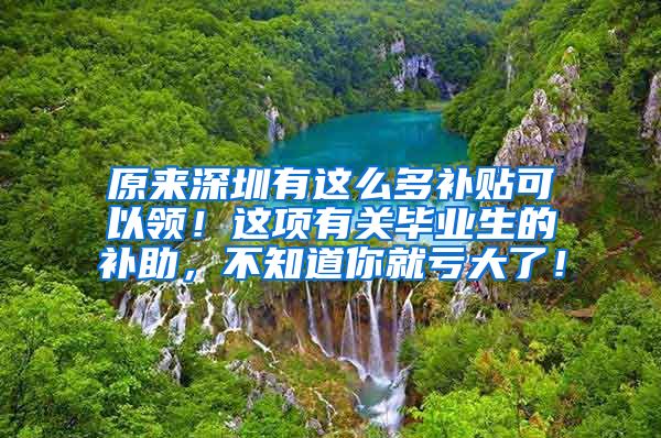 原来深圳有这么多补贴可以领！这项有关毕业生的补助，不知道你就亏大了！