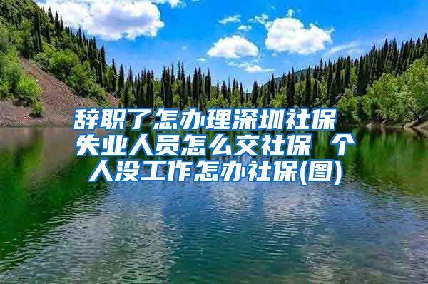 辞职了怎办理深圳社保 失业人员怎么交社保 个人没工作怎办社保(图)