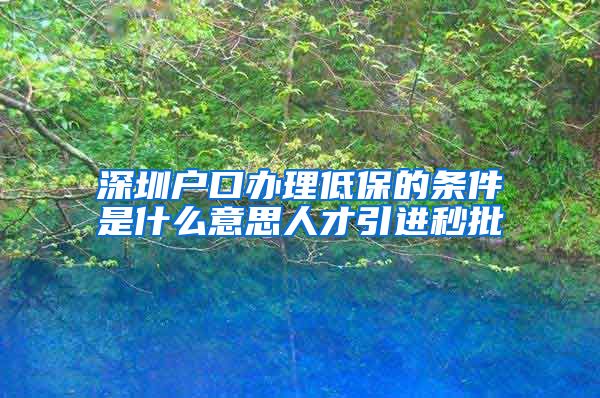 深圳户口办理低保的条件是什么意思人才引进秒批