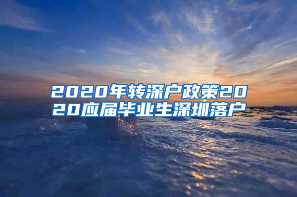 2020年转深户政策2020应届毕业生深圳落户