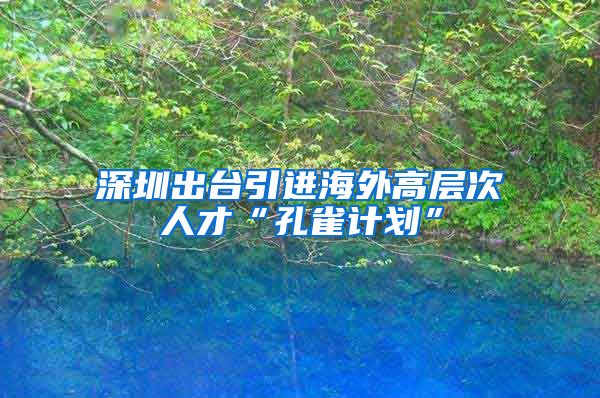 深圳出台引进海外高层次人才“孔雀计划”