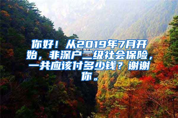 你好！从2019年7月开始，非深户二级社会保险，一共应该付多少钱？谢谢你。