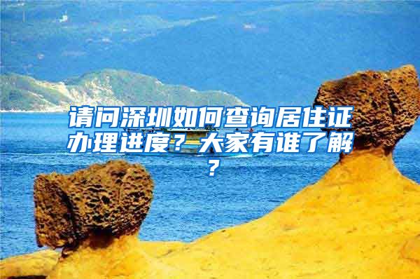 请问深圳如何查询居住证办理进度？大家有谁了解？