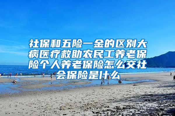 社保和五险一金的区别大病医疗救助农民工养老保险个人养老保险怎么交社会保险是什么