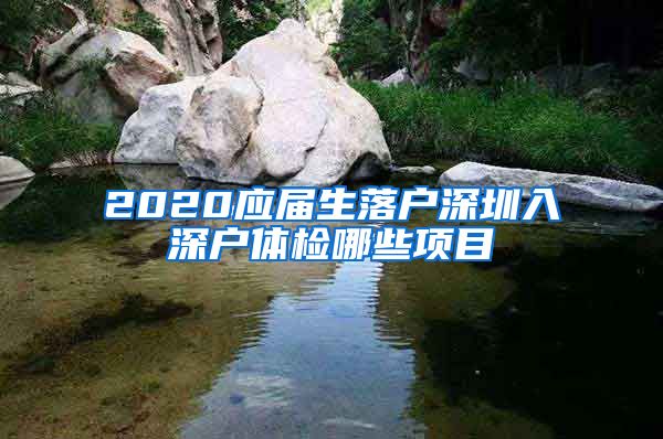 2020应届生落户深圳入深户体检哪些项目