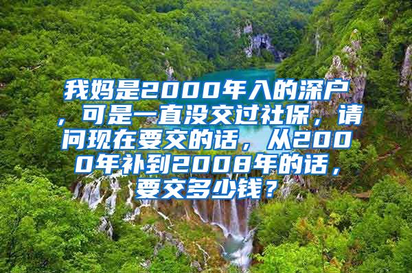 我妈是2000年入的深户，可是一直没交过社保，请问现在要交的话，从2000年补到2008年的话，要交多少钱？