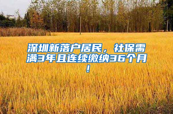 深圳新落户居民，社保需满3年且连续缴纳36个月！