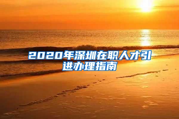 2020年深圳在职人才引进办理指南