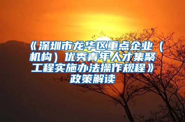 《深圳市龙华区重点企业（机构）优秀青年人才集聚工程实施办法操作规程》政策解读