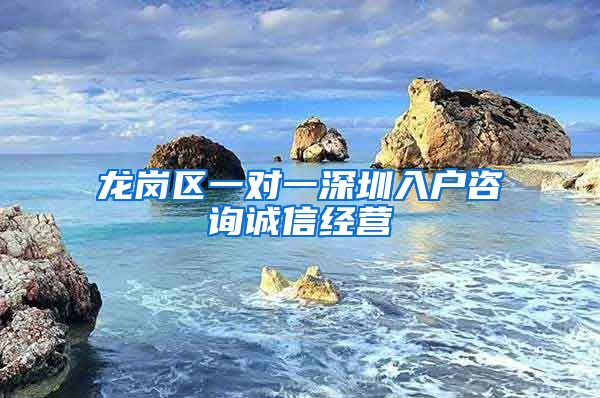 龙岗区一对一深圳入户咨询诚信经营