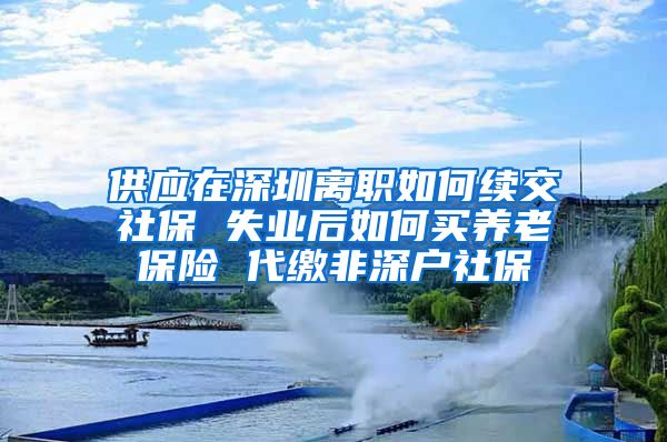 供应在深圳离职如何续交社保 失业后如何买养老保险 代缴非深户社保