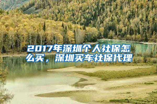 2017年深圳个人社保怎么买，深圳买车社保代理