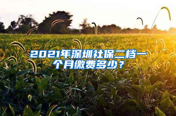 2021年深圳社保二档一个月缴费多少？