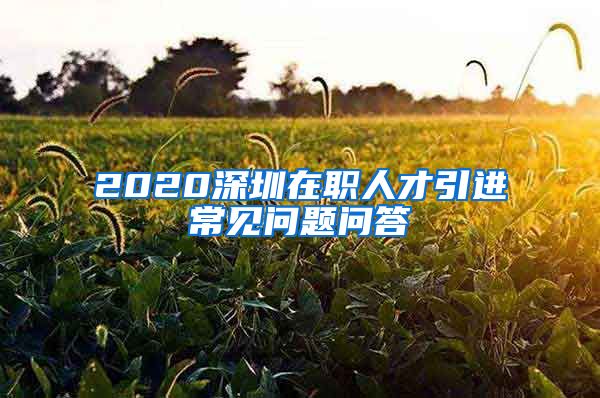 2020深圳在职人才引进常见问题问答