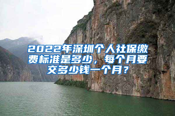 2022年深圳个人社保缴费标准是多少，每个月要交多少钱一个月？