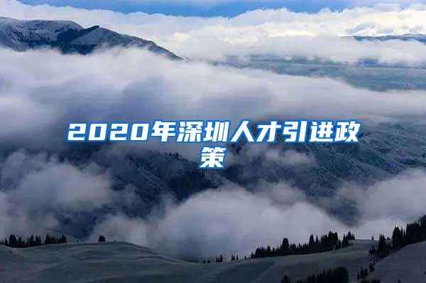 2020年深圳人才引进政策