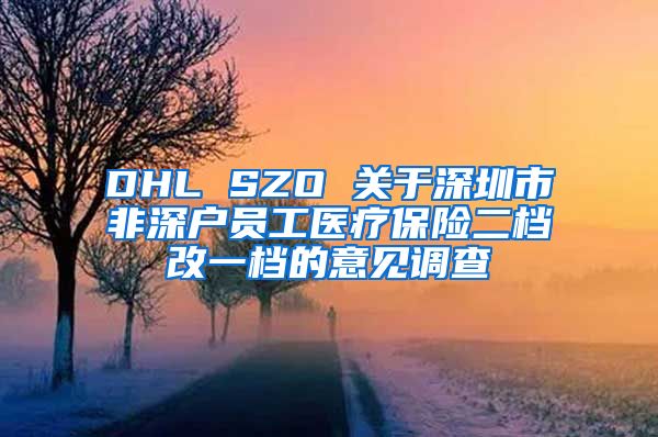 DHL SZO 关于深圳市非深户员工医疗保险二档改一档的意见调查