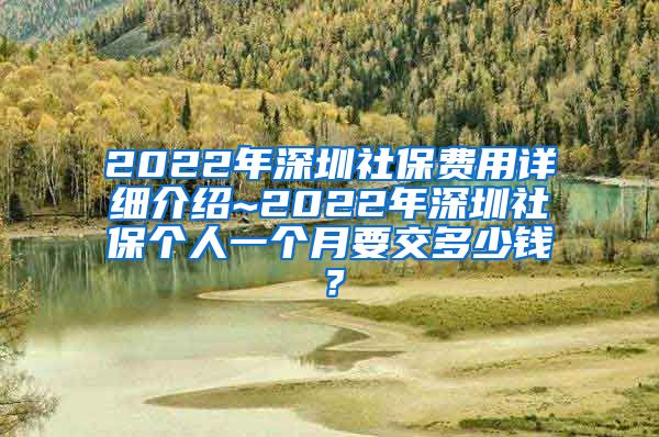 2022年深圳社保费用详细介绍~2022年深圳社保个人一个月要交多少钱？