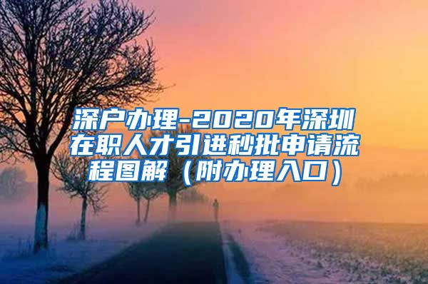 深户办理-2020年深圳在职人才引进秒批申请流程图解（附办理入口）