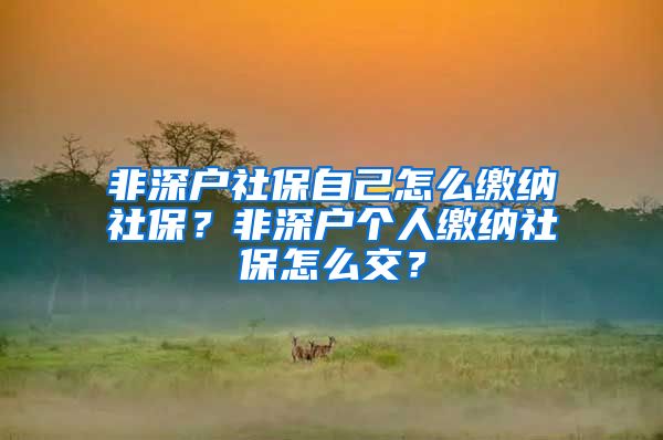 非深户社保自己怎么缴纳社保？非深户个人缴纳社保怎么交？