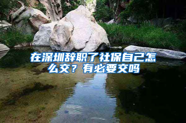 在深圳辞职了社保自己怎么交？有必要交吗