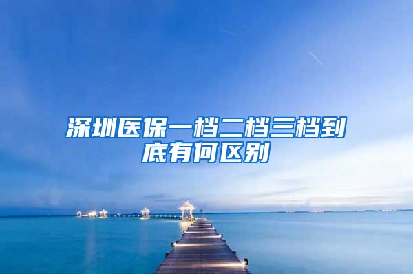 深圳医保一档二档三档到底有何区别