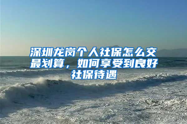 深圳龙岗个人社保怎么交最划算，如何享受到良好社保待遇