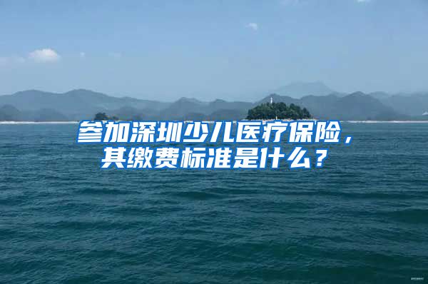 参加深圳少儿医疗保险，其缴费标准是什么？