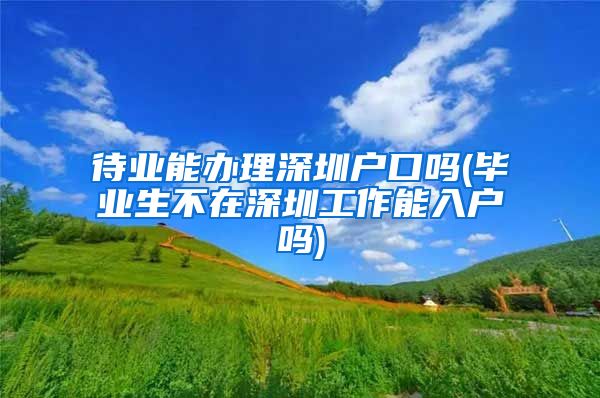 待业能办理深圳户口吗(毕业生不在深圳工作能入户吗)