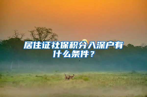 居住证社保积分入深户有什么条件？