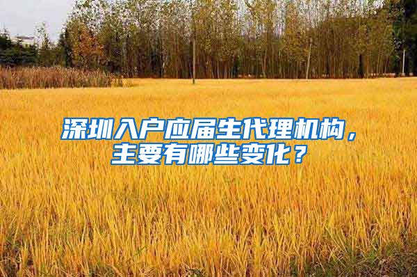 深圳入户应届生代理机构，主要有哪些变化？