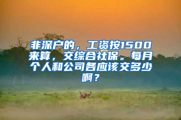 非深户的，工资按1500来算，交综合社保。每月个人和公司各应该交多少啊？