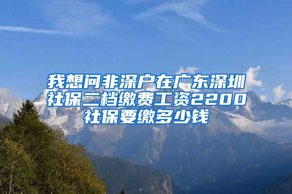 我想问非深户在广东深圳社保二档缴费工资2200社保要缴多少钱