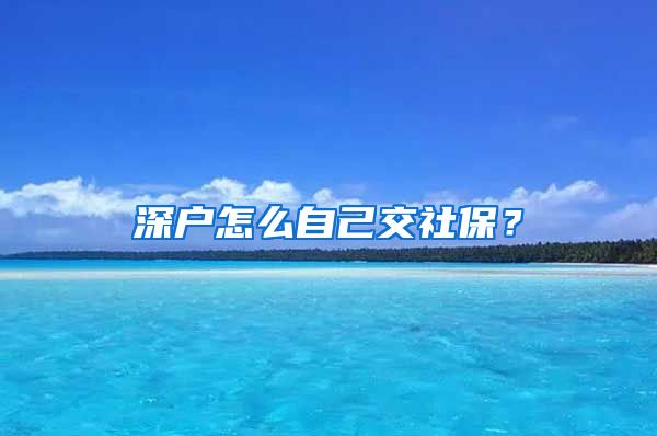 深户怎么自己交社保？